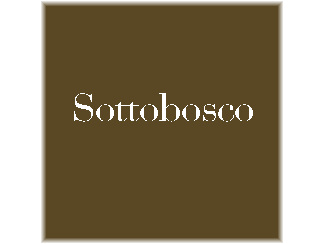 sottobosco